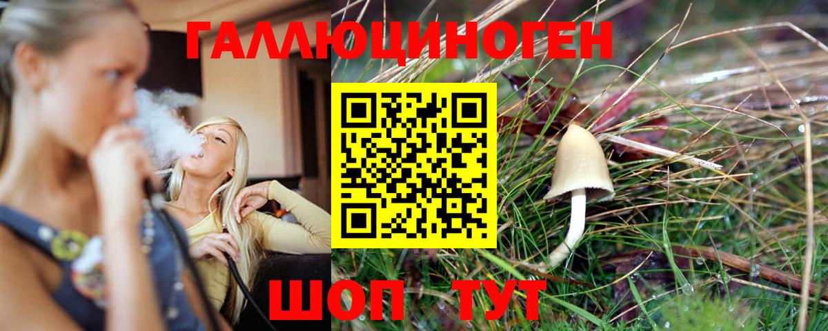 Псилоцибиновые грибы GOLDEN TEACHER Кирово-Чепецк